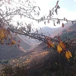 Le De Larcat